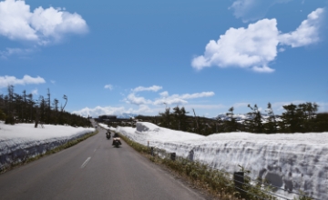 The Legendary Winding Road 
Tohoku